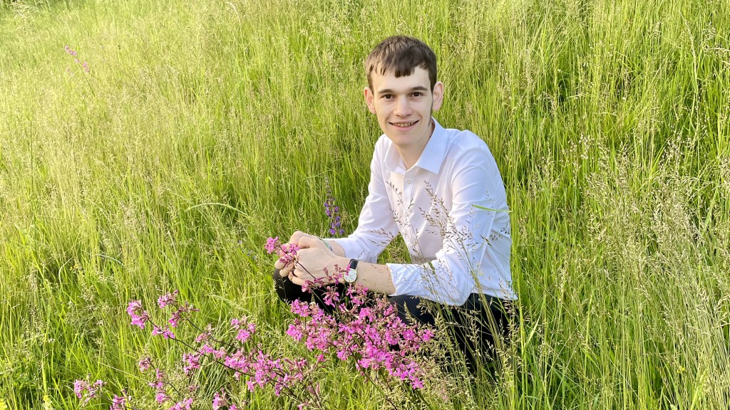 David Hofer, Werbetexter